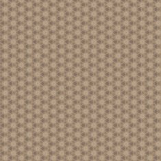Vintage shabby background with classy patterns N357