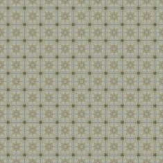 Vintage shabby background with classy patterns N366