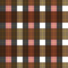 Thai fabric pattern N3
