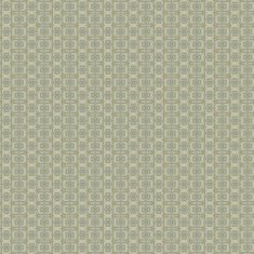 Vintage shabby background with classy patterns N407