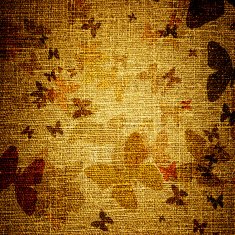 grunge butterflies on canvas N2
