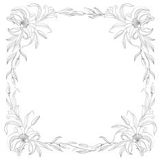 Lily frame for invitations