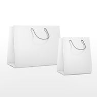 blank shopping paper bags