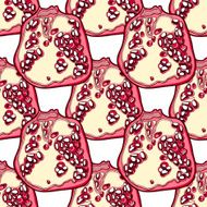 Pomegranade vector pattern N2