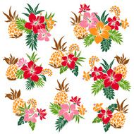 picture of Hibiscus N2