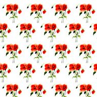 Postcard painted red poppy N12