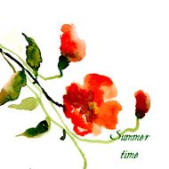 Postcard painted red poppy N13