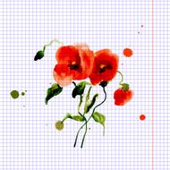 Postcard painted red poppy N14