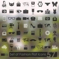 Set of Fashion Icons N89