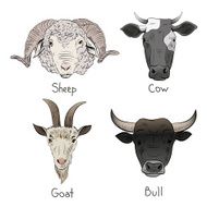 Set of hand drawn farm animals vector illustration
