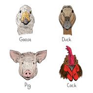 Set of hand drawn farm animals vector illustration N2