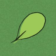 leaves seamless pattern on green background Vector