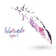 beautiful delicate feather painted in watercolor N8