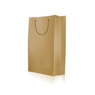 Empty Shopping Bag for advertising and branding N3