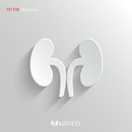 Kidneys icon - vector white app button