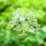 Oak illustration on blurred nature background