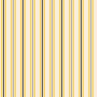 Abstract geometric striped pattern N2
