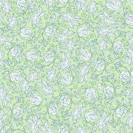White Rose Pattern