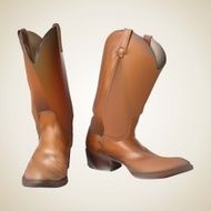 Cowboy Boots N11