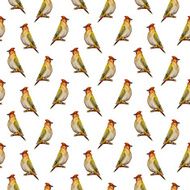 seamless texture with cute birds watercolor N3