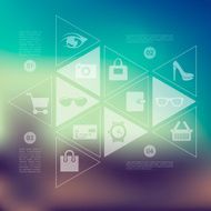 fashion infographic with unfocused background N70