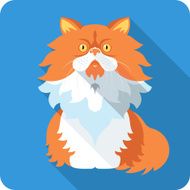 Vector Persian Cat icon flat design