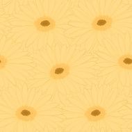 Beautiful background with yellow gerbera flower