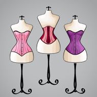 Corset on female mannequin