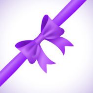 Big shiny purple bow and ribbon on white background Vector