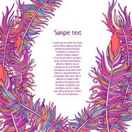 Vector Feather background N3