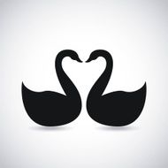 swans design