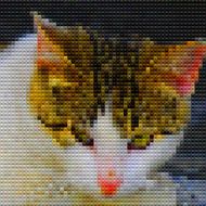 abstract mosaic check style lovely cat pattern background