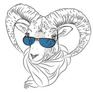 vector closeup portrait of funny Alpine ibex