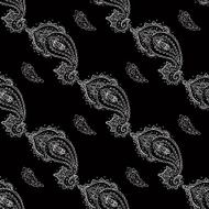Seamless Paisley background N9