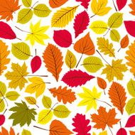 Beautiful leaves seamless pattern vector natural background