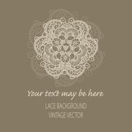 Vector lace ornament background N12