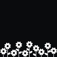 Flowers black background