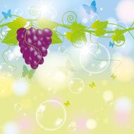 Grape with blur autumn background and bubbles