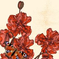 Grunge background with hand drawn poppy flowers and butterfly