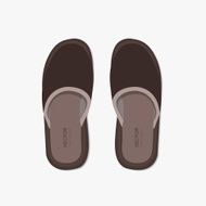 Vector modern flippers on gray bakground