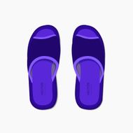 Vector modern flippers on gray bakground N2