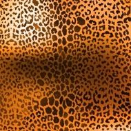 Jaguar leopard and ocelot skin texture N2