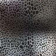 colorful textures of leopard N5