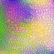 colorful textures of leopard N6