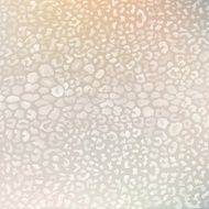 colorful textures of leopard N7