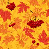 Seamless leaves and ashberry wallpaper - Illustration