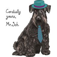 vector funny cartoon hipster dog Schnauzer