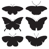 Vector black silhouettes of butterflies