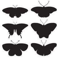 Vector black silhouettes of butterflies N2