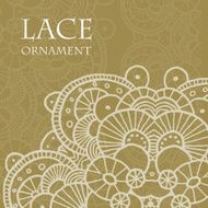 Vector lace ornament background N16